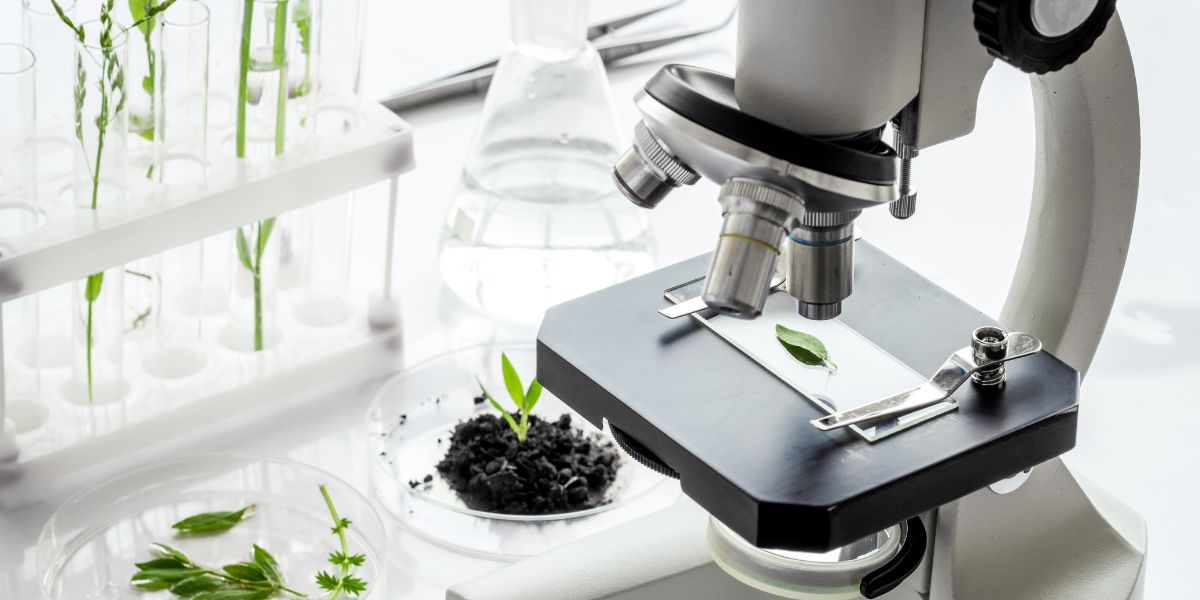 Guide Pour Choisir Un Microscope De Laboratoire Microbiology