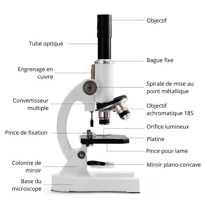 Microscope optique monoculaire parties