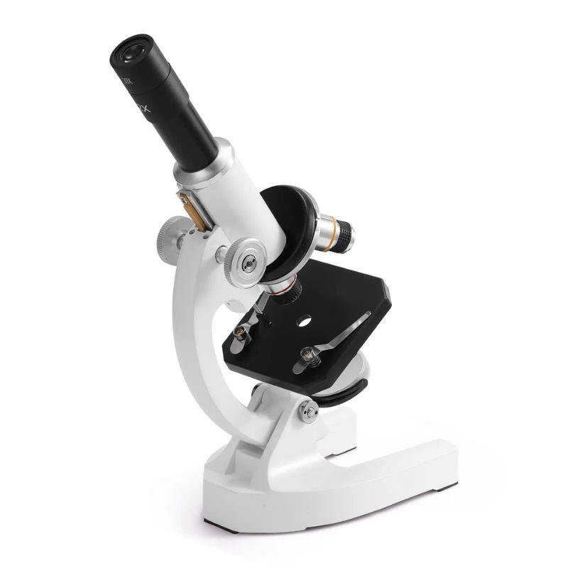 Microscope monoculaire